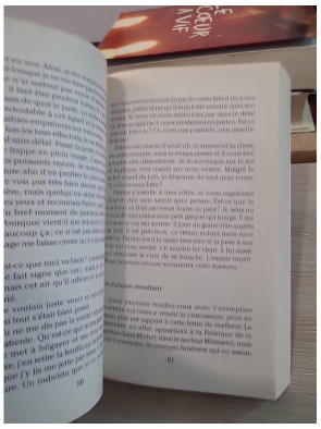 Les cicatrices du bonheur