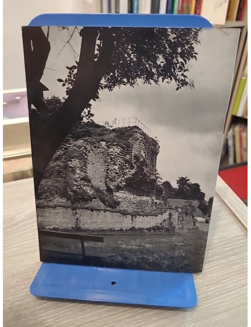 Trèves, cité romaine : guide illustré avec 2 plans et 20 photographies