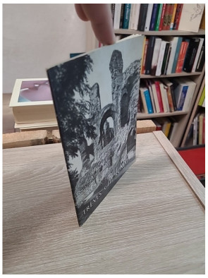 Trèves, cité romaine : guide illustré avec 2 plans et 20 photographies