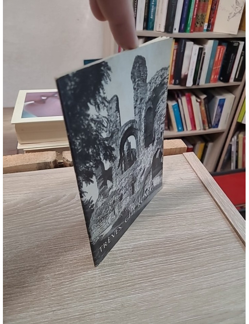 Trèves, cité romaine : guide illustré avec 2 plans et 20 photographies