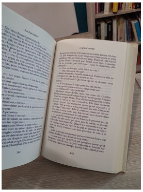 Les Noëls blancs - roman du terroir et mémoire familiale