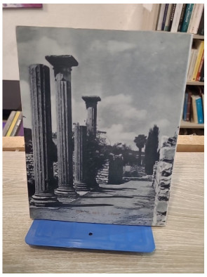 Vaison-la-Romaine - guide historique et archéologique illustré