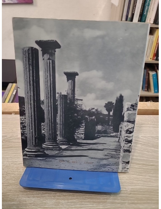 Vaison-la-Romaine - guide historique et archéologique illustré