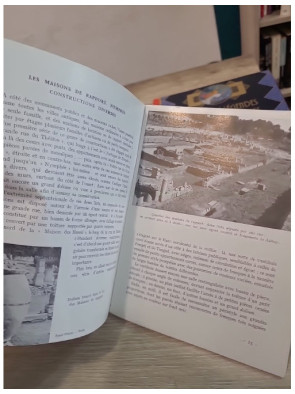 Vaison-la-Romaine - guide historique et archéologique illustré