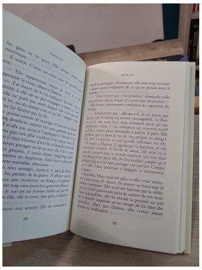 Mamie Dan - roman sentimental et saga familiale de Danielle Steel