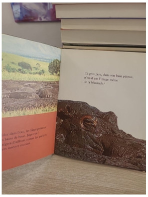 Nos amis les hippopotames - découverte et observation des animaux