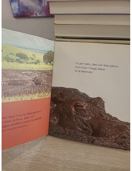 Nos amis les hippopotames - découverte et observation des animaux