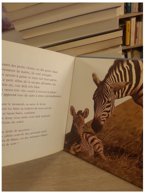 Nos amis les zèbres - découverte et observation des animaux