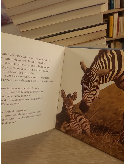 Nos amis les zèbres - découverte et observation des animaux