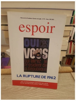Espoir - roman contemporain sur la résilience et la reconstruction