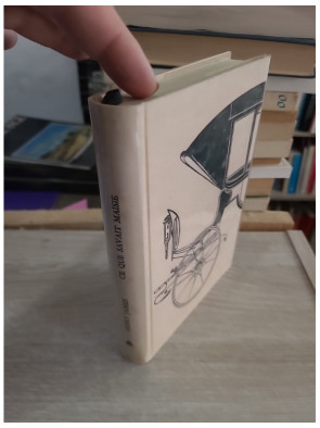 Ce que savait Maisie - roman psychologique classique de Henry James