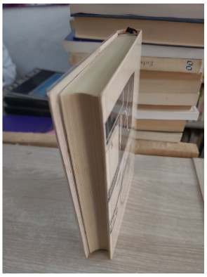 Ce que savait Maisie - roman psychologique classique de Henry James