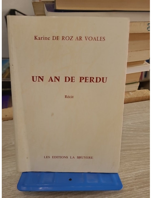 Un an de perdu - récit autobiographique