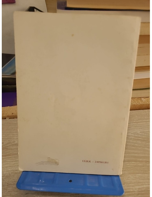 Un an de perdu - récit autobiographique