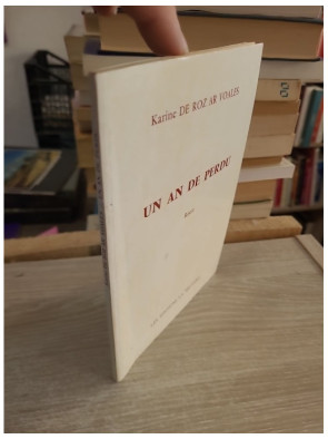 Un an de perdu - récit autobiographique