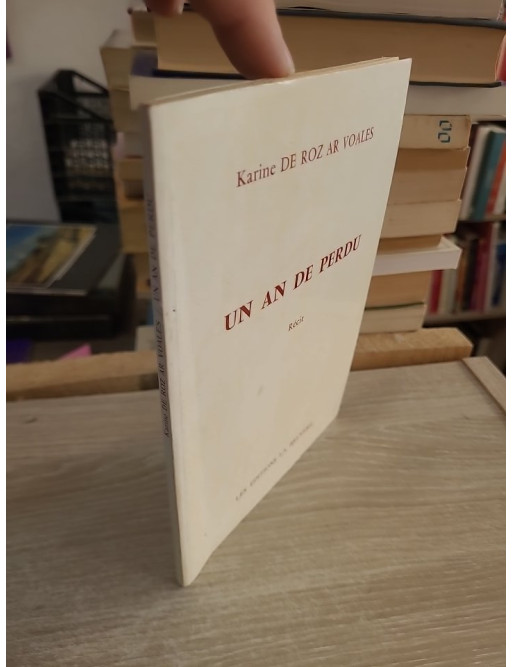 Un an de perdu - récit autobiographique
