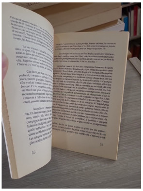 Un an de perdu - récit autobiographique