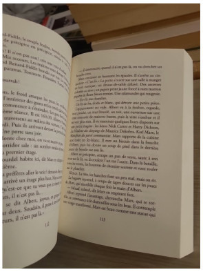 L'année a perdu son printemps - roman autobiographique d'Edgar Morin