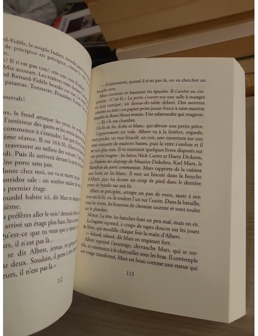 L'année a perdu son printemps - roman autobiographique d'Edgar Morin