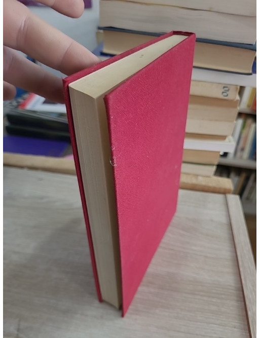 Le Guépard - Roman historique sur la noblesse sicilienne au XIXe siècle