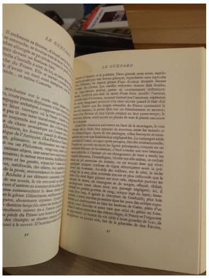 Le Guépard - Roman historique sur la noblesse sicilienne au XIXe siècle
