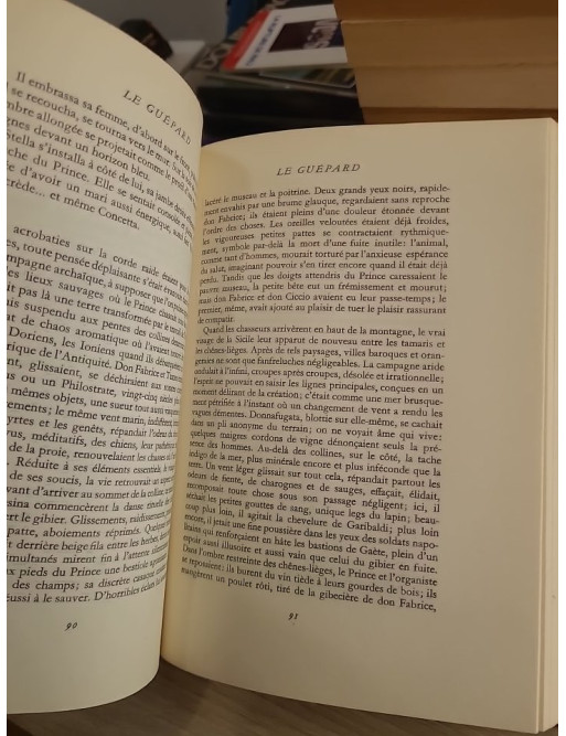 Le Guépard - Roman historique sur la noblesse sicilienne au XIXe siècle