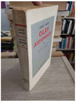 Olav Audunssoen et ses enfants - Tome 1, saga historique norvégienne