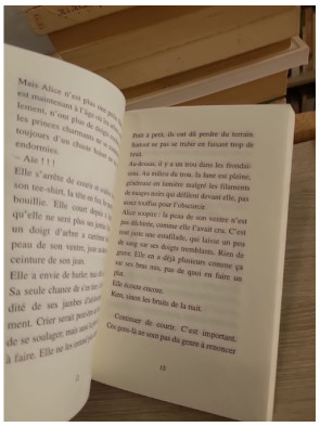 La cache maudite - Yves Bulteau - Le Furet enquête Albin Michel 2001