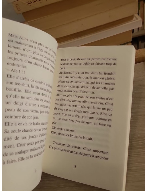 La cache maudite - Yves Bulteau - Le Furet enquête Albin Michel 2001