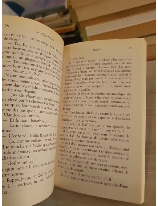 La Dégustation - Yann Queffélec - Le Livre de Poche 2008