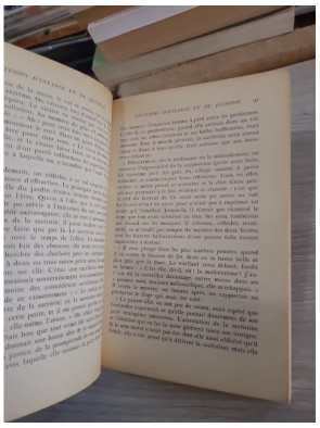 Souvenirs d'enfance et de jeunesse - Ernest Renan - Le Livre de Poche 1967