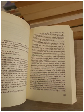 La Théorie des cordes - José Carlos Somoza - Babel Actes Sud 2008