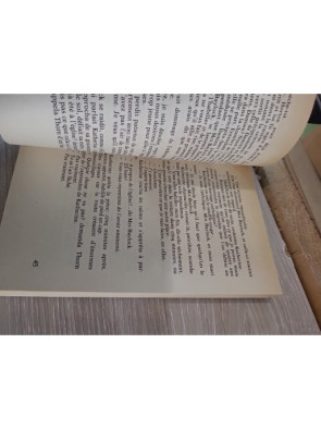 La Malédiction - Tome 1 - David Seltzer - J'ai Lu 1999