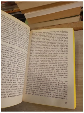 À nous deux, Manhattan - Judith Krantz - Le Livre de Poche 1988