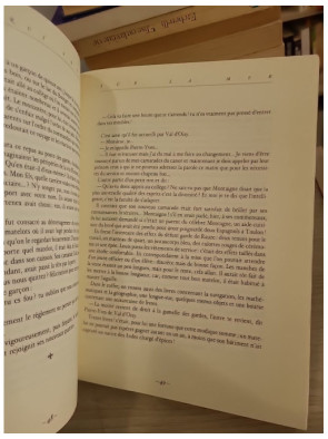 Ceux qui vont sur la mer - Roman d’aventure maritime sous Louis XV