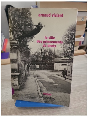 La Ville des grincements de dents - Roman sur le langage et la quête de soi