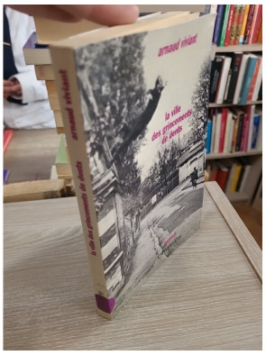 La Ville des grincements de dents - Roman sur le langage et la quête de soi