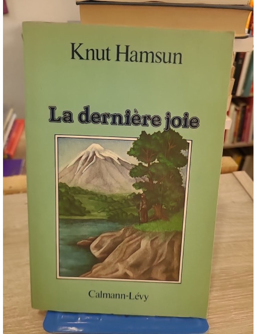 La Dernière Joie - Roman norvégien entre errance, nature et quête intérieure