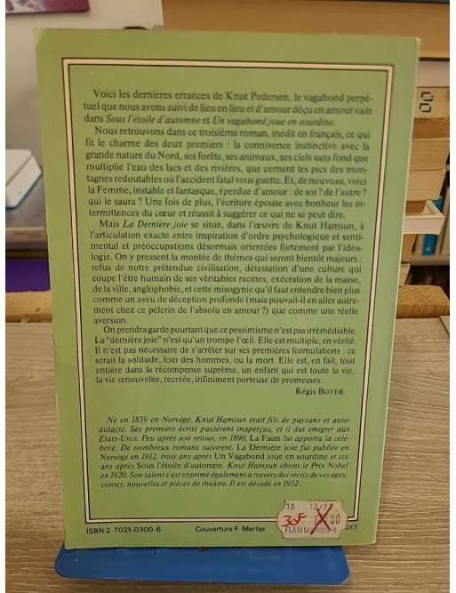 La Dernière Joie - Roman norvégien entre errance, nature et quête intérieure