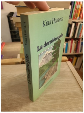 La Dernière Joie - Roman norvégien entre errance, nature et quête intérieure
