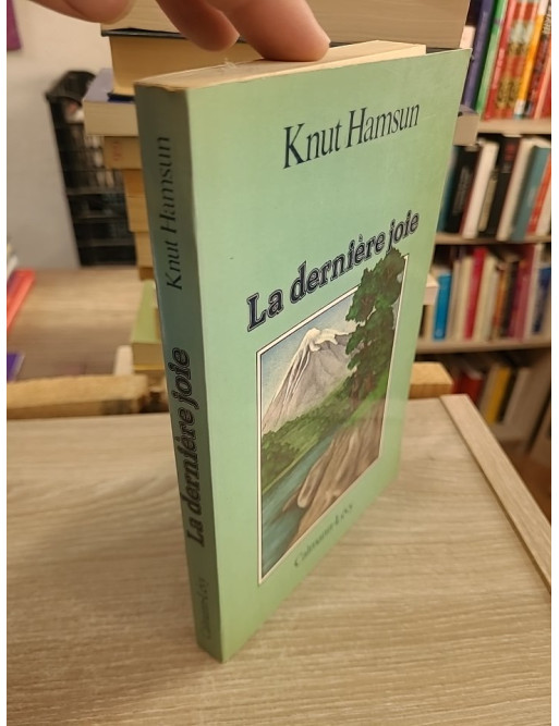 La Dernière Joie - Roman norvégien entre errance, nature et quête intérieure