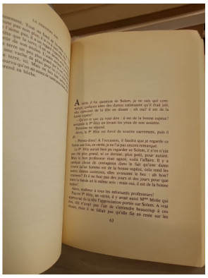 La Dernière Joie - Roman norvégien entre errance, nature et quête intérieure