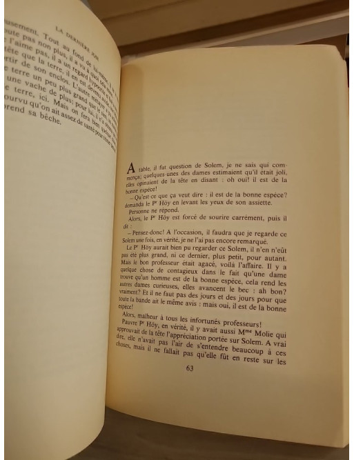 La Dernière Joie - Roman norvégien entre errance, nature et quête intérieure