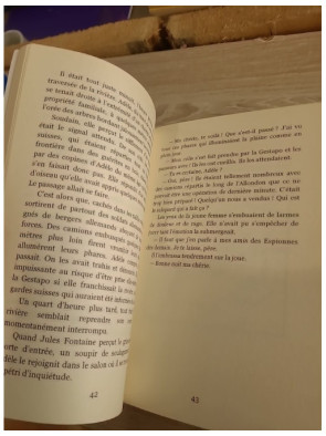 L'Envers du miroir - Thriller d'espionnage (Les espionnes du Salève)