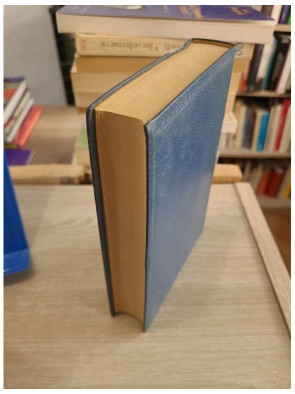 Mireille - Poème provençal, œuvre majeure de la littérature occitane