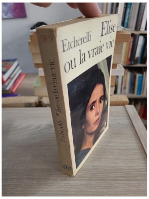 Élise ou la vraie vie - Roman social et engagement en France