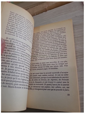 Élise ou la vraie vie - Roman social et engagement en France