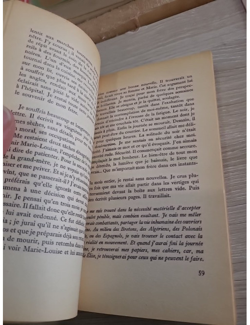 Élise ou la vraie vie - Roman social et engagement en France
