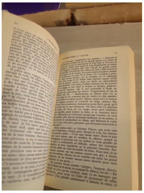 L'Odyssée - Épopée grecque antique traduite par M. Dufour et J. Raison