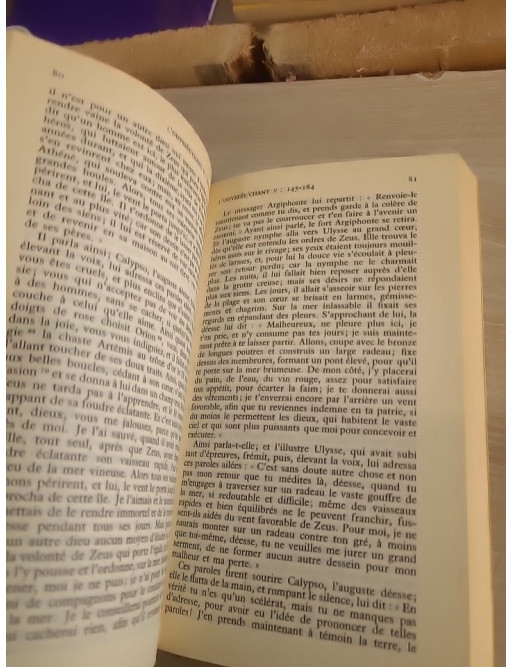 L'Odyssée - Épopée grecque antique traduite par M. Dufour et J. Raison